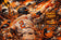 Gunner Henderson Baltimore Orioles MLB Wall Art Poster | Landscape